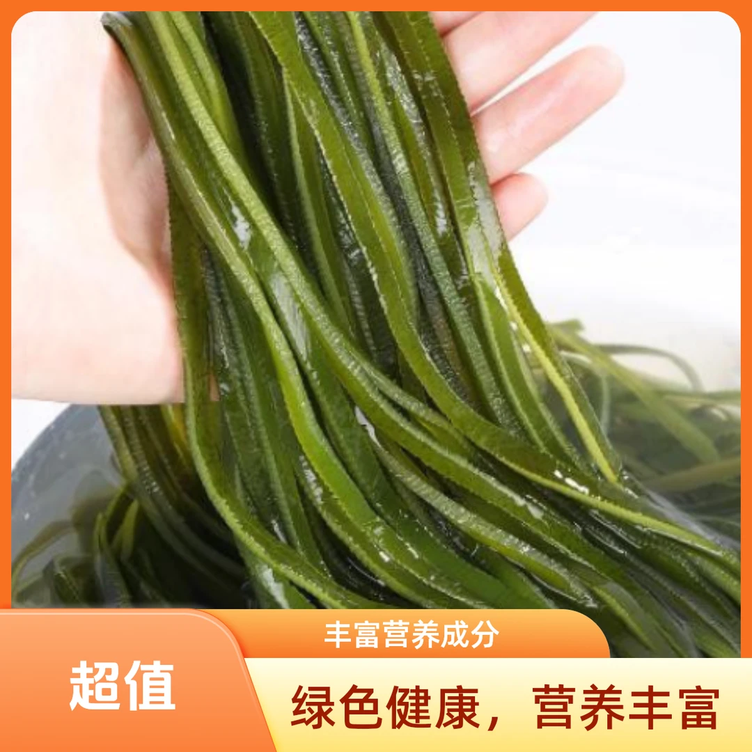 抢！【5斤新鲜海带丝】大连海带长丝厚丝涮火锅煲汤凉拌好吃鲜嫩营养