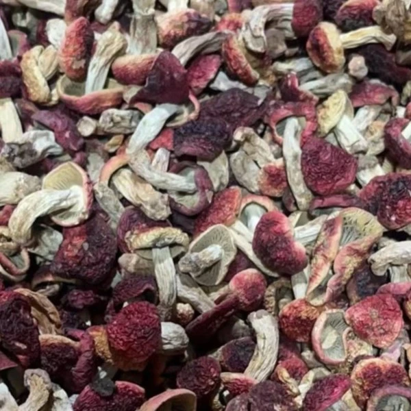 【爬爬姐臻选】云南野生红菇丁红菇干货