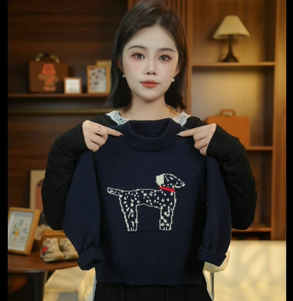 2024儿童秋冬新品藏青色腊肠狗毛衣可爱休闲韩系风