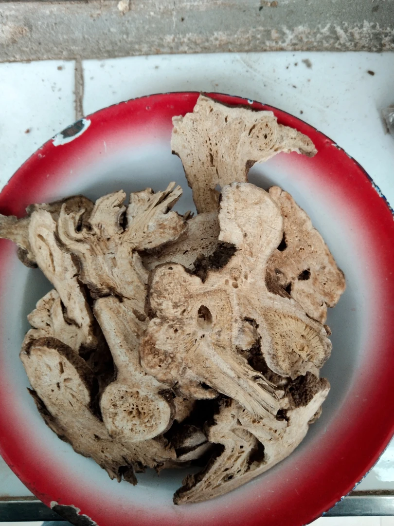 大山农户自己采挖白术250－500克包邮