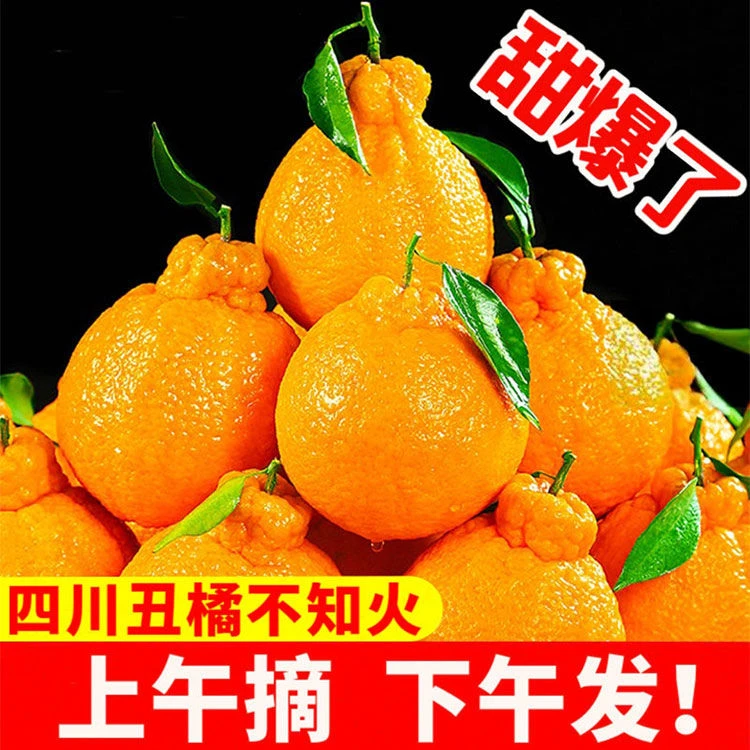 【48小时发货】【精品】丑橘不知火新鲜现摘四川春见耙耙柑应季成熟