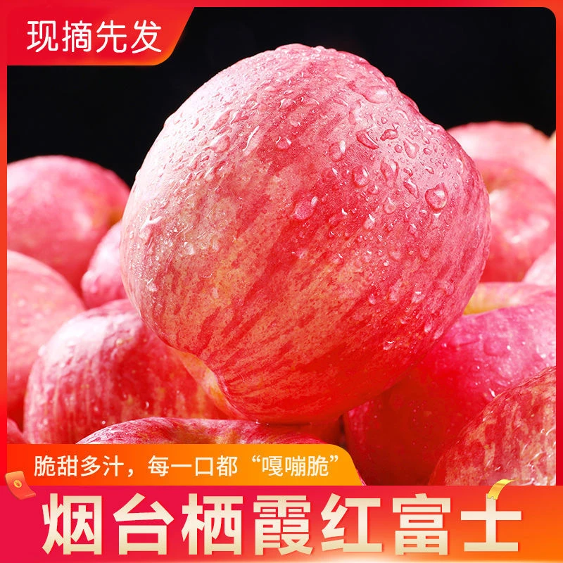 苹果山东烟台红富士当季新鲜现摘红富士水果细腻红富士脆甜脆甜