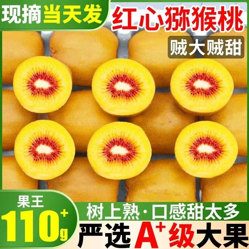 【精选】红心猕猴桃四川蒲江奇异果弥胡桃泥猴桃新鲜果园现发正宗1