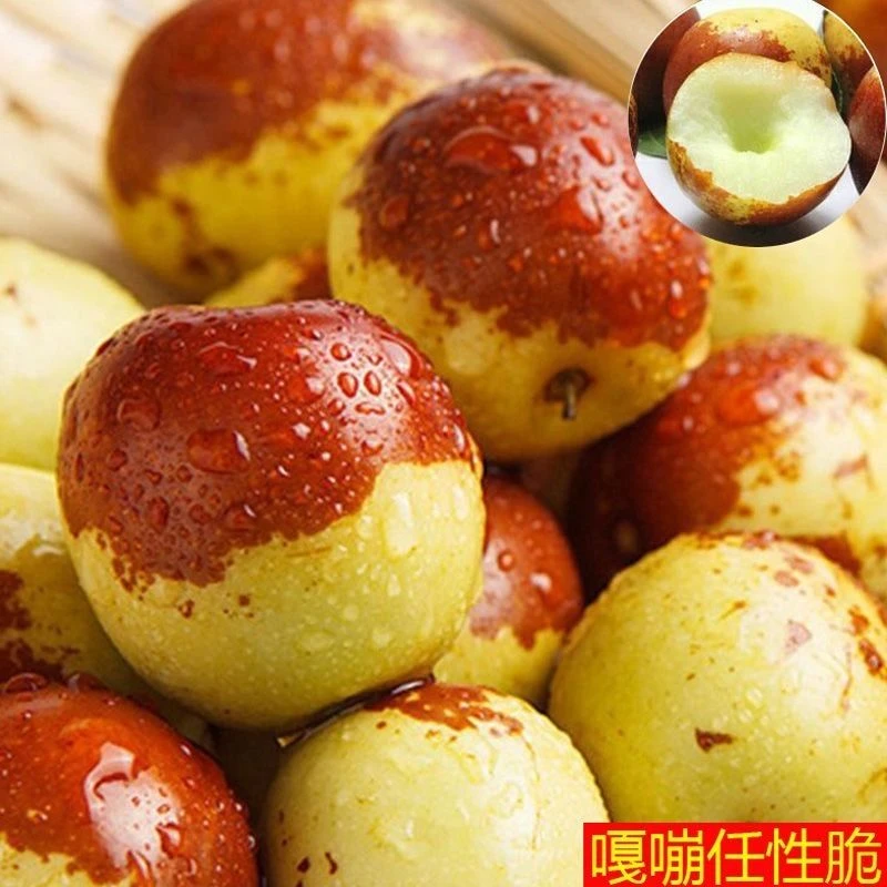 沾化冬枣脆甜大果红枣批发新鲜水果新鲜应季水果冬枣新鲜成熟香甜