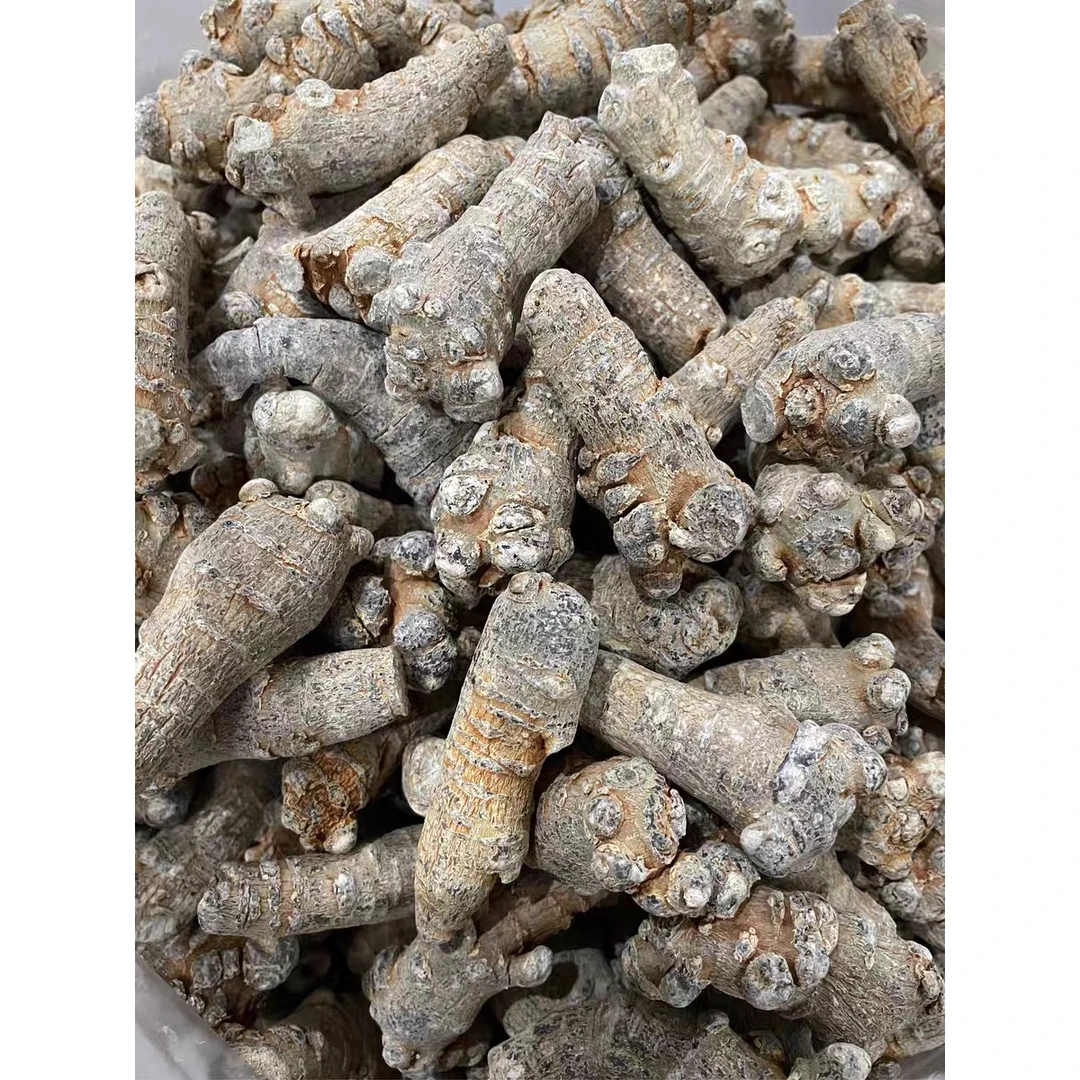 三七田七精选文山正品产地无硫手工挑选散称