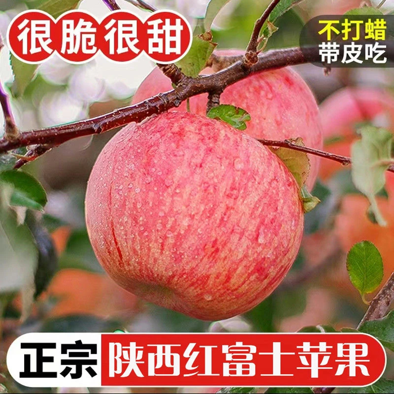 当季现摘陕西红富士苹果水果新鲜脆甜非冰糖心整箱1-9斤装包邮