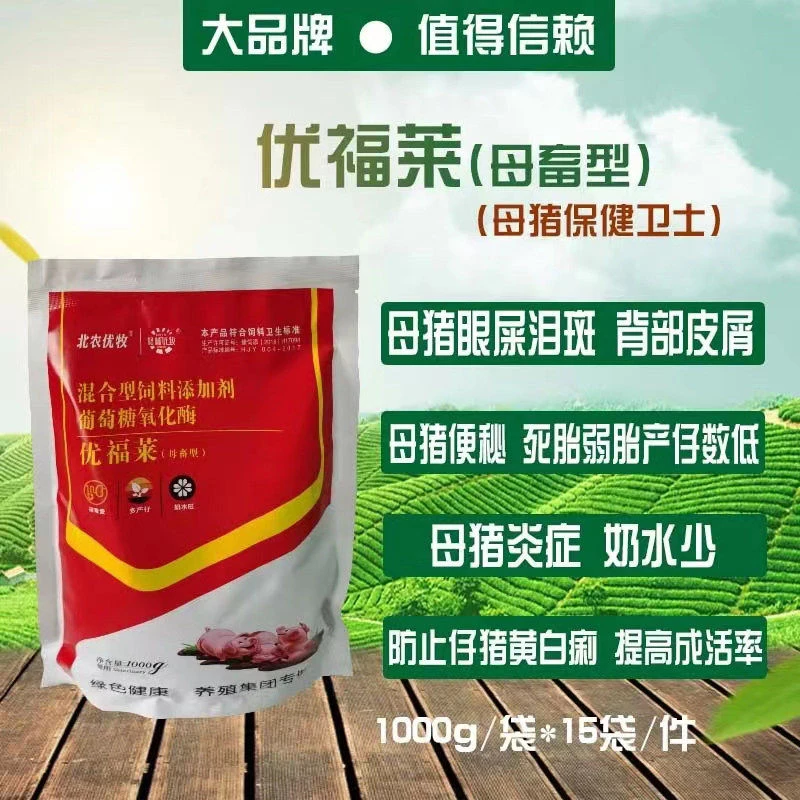 母猪优福莱净化母猪