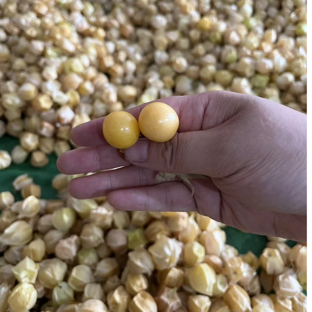【人工挑选】东北特产菇娘果产地直发时令水果薄皮鲜甜多汁
