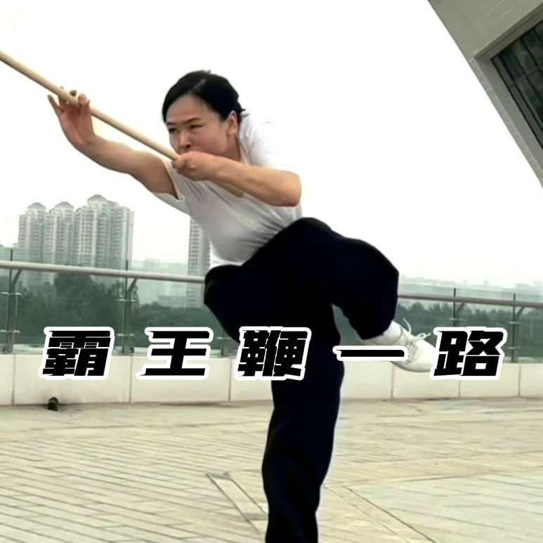 鞭杆套路：霸王鞭一路