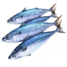 鲐鲅鱼（约500g）