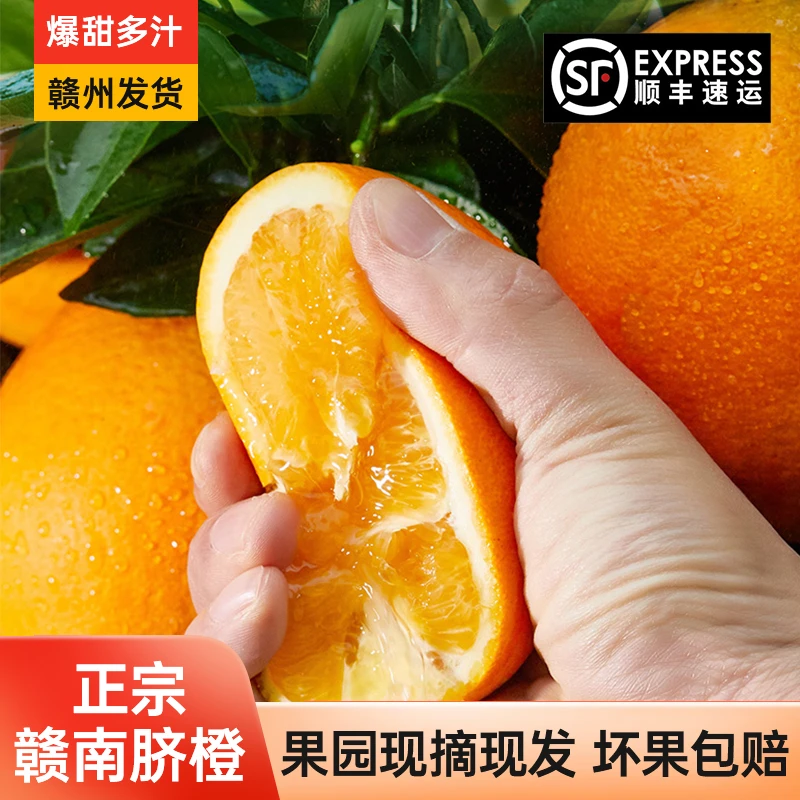 【顺丰到家 】老树A级优果正宗赣南脐橙 现场采摘 新鲜爆汁赣州直发