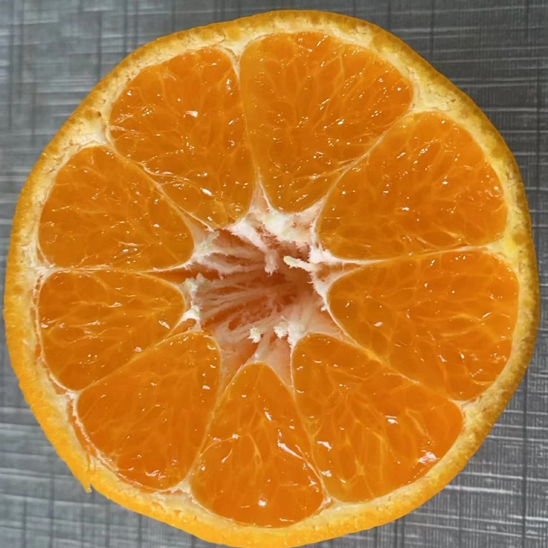 【四川春见耙耙】柑果肉饱满多汁应季新鲜水果4.5斤箱装现货直发