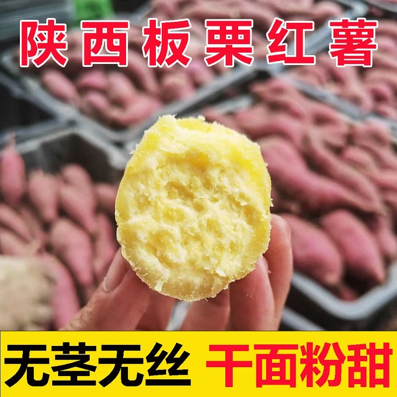 陕西正宗临潼板栗红薯沙地现挖新鲜番薯农家自种小香薯甜山芋地瓜