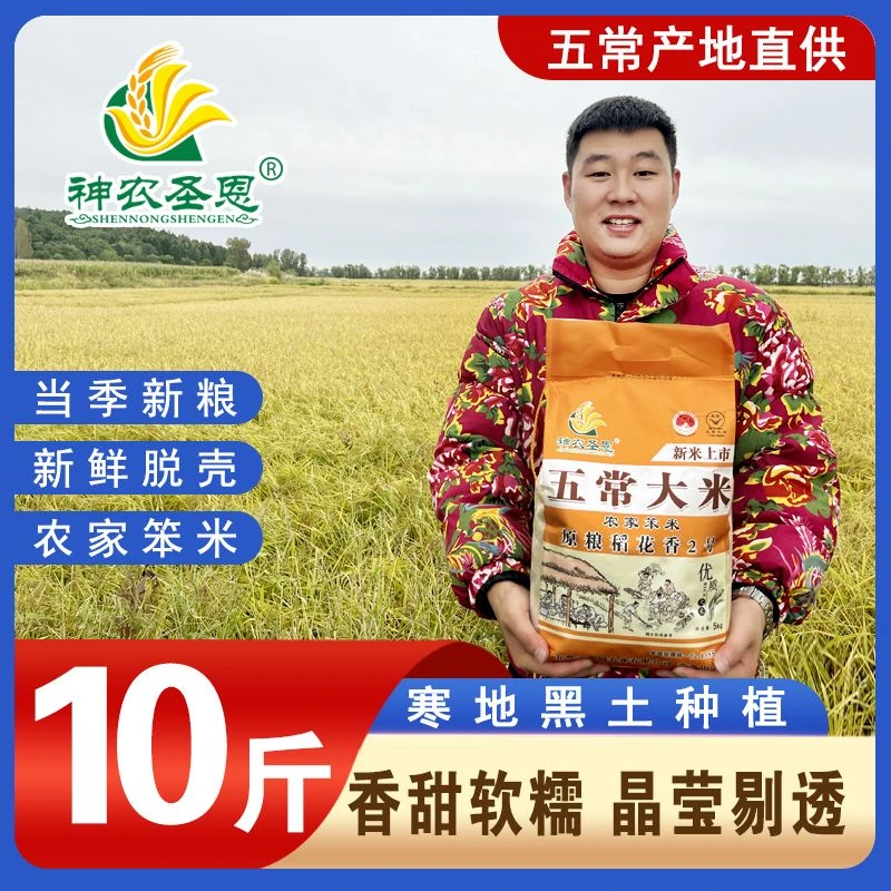 2025年新米上市 正宗五常大米 农家稻花香2号 GB/T19266 编织袋装