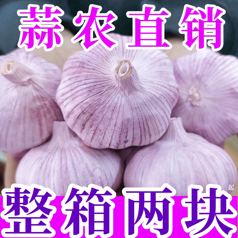 【蒜农价】5斤紫皮金乡干大蒜大蒜头干蒜农家新多瓣蒜3-5斤批发包