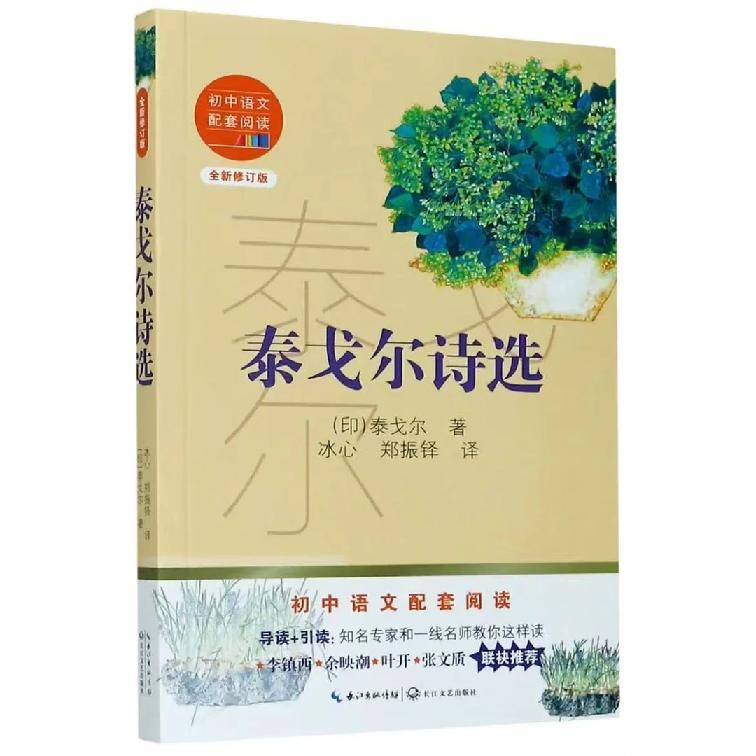 泰戈尔诗选 长江文艺出版社