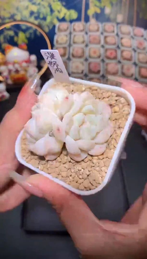 【闪购商品】649淡奶油