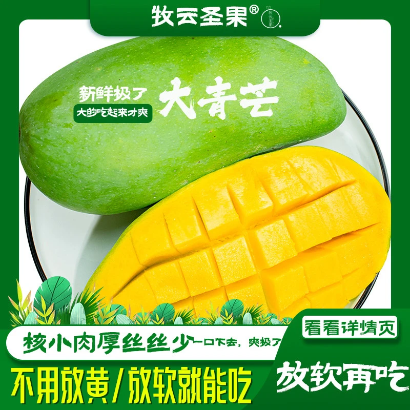 【云南】牧云圣果西双版纳大青芒3斤约2-3个/5斤约3-5个/8斤约6-7个