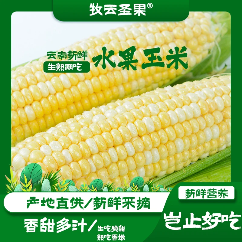 【牧云圣果】云南高山水果甜玉米5斤