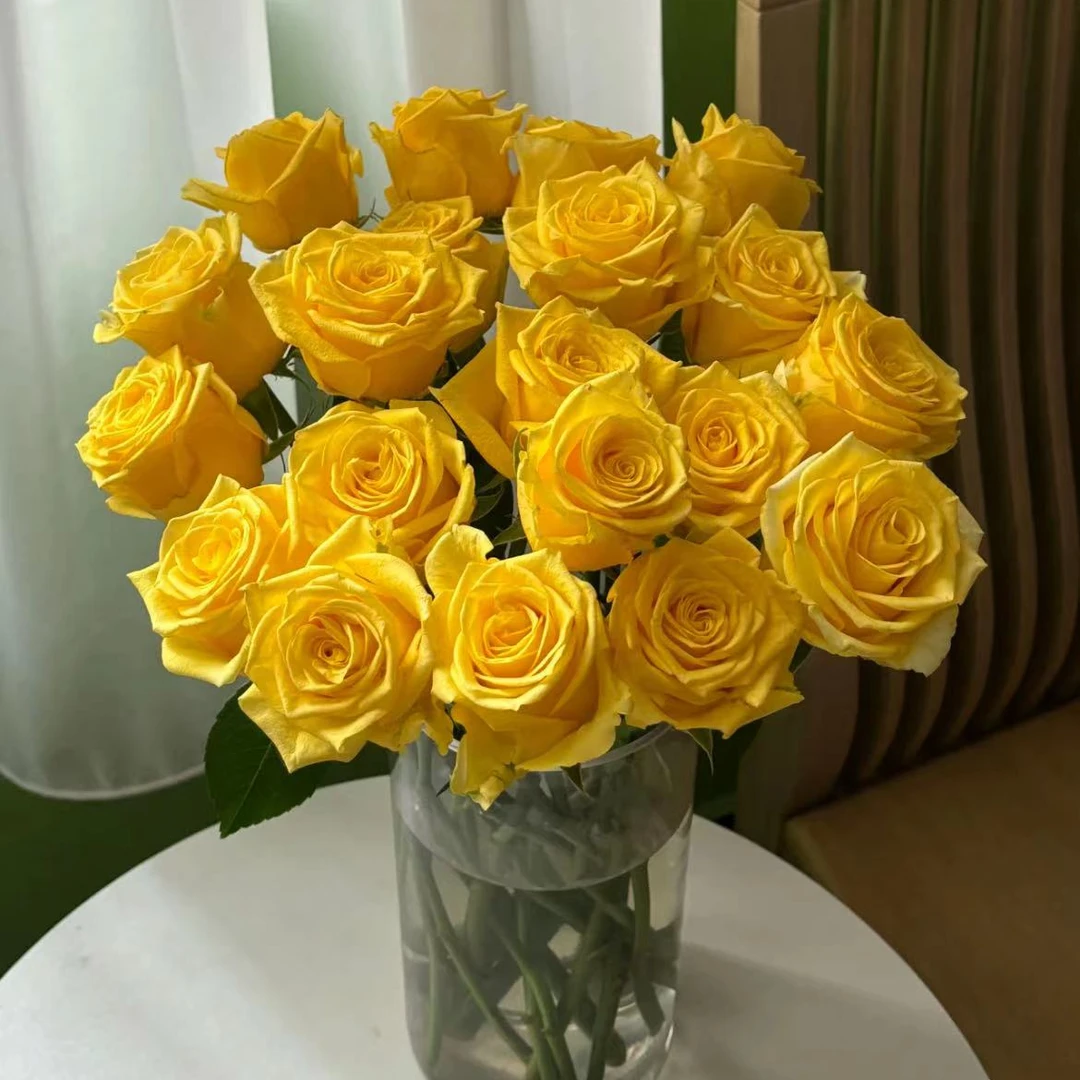 【云南花语鲜花】金枝玉叶玫瑰 云南鲜花 基地直发 顺丰包邮