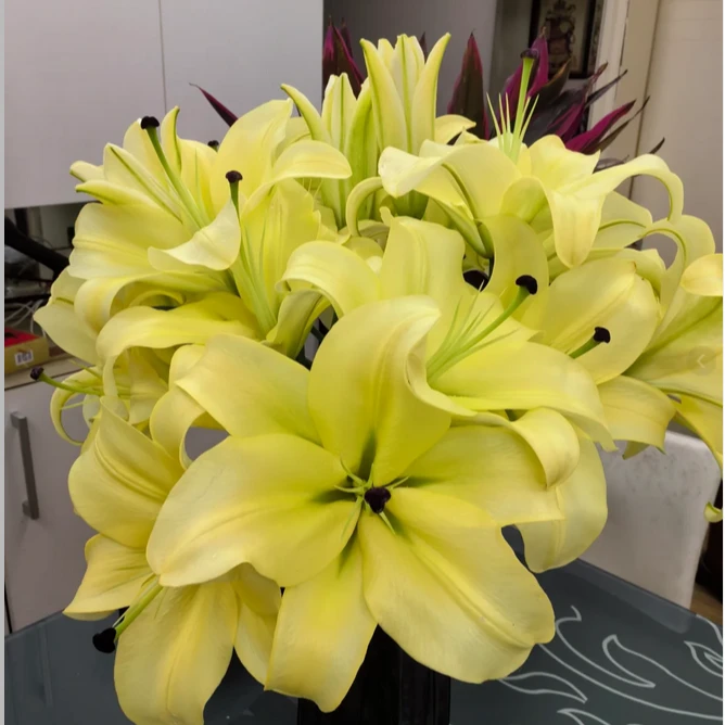 【云南花语鲜花】黄帝百合 纯黄色花瓣 云南基地直发 顺丰包邮