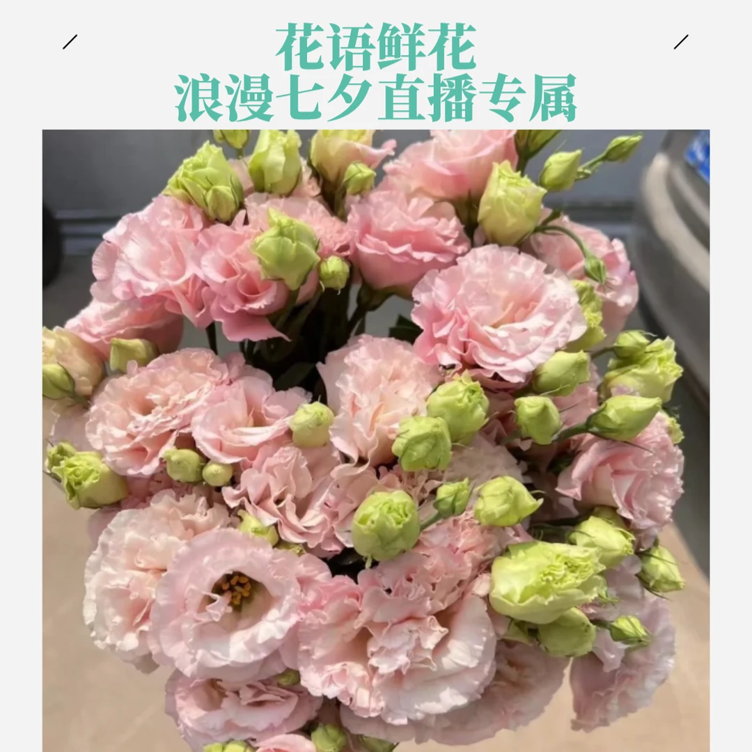 【花语鲜花】杏色洋桔梗 云南鲜花