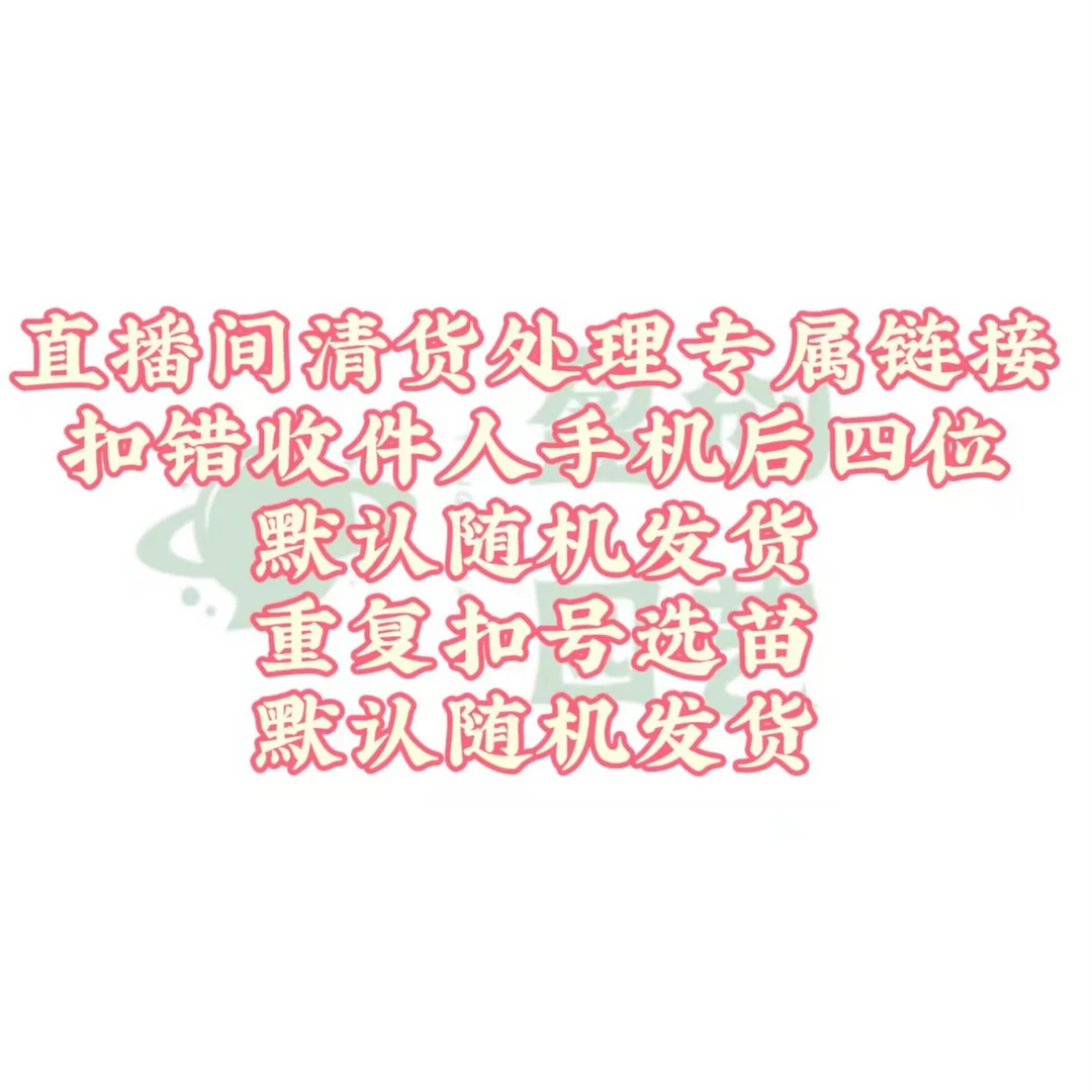 【老桩】龟背竹 清货处理 可土培可水培 微瑕叶损 介意勿拍 无售后