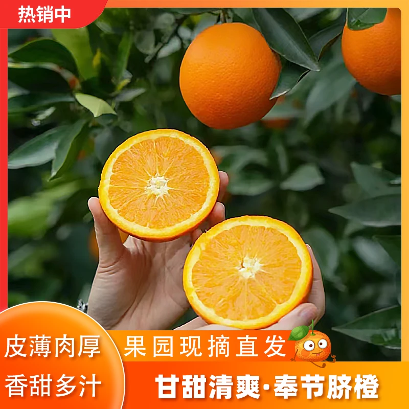 正宗重庆奉节脐橙 新鲜应季水果 甘甜清爽  美味爽口
