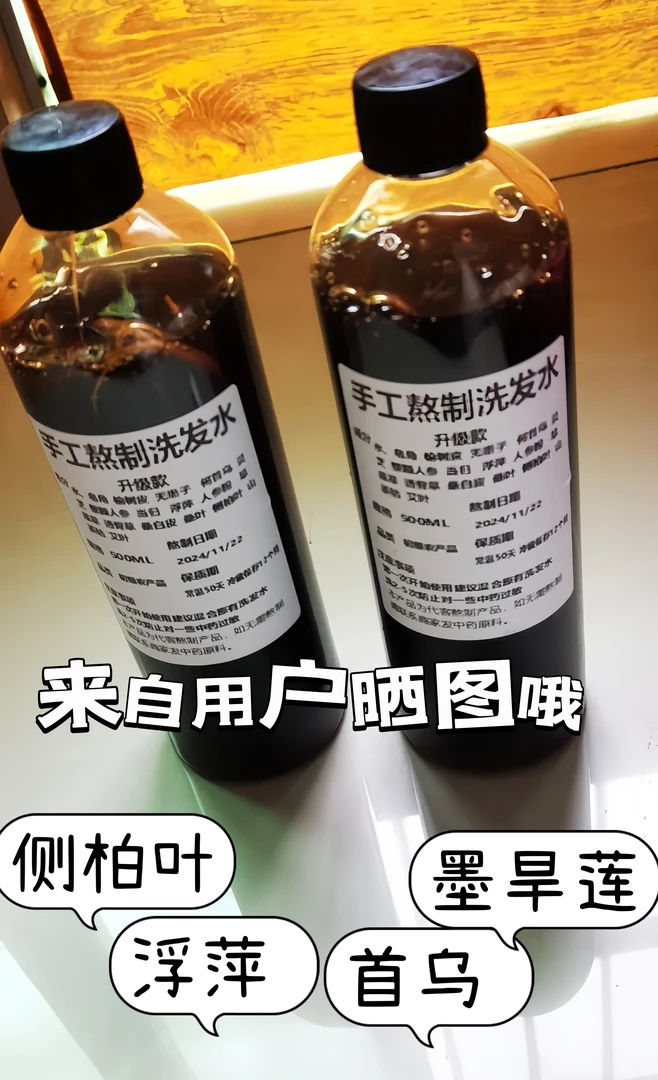 全洗头植物侧柏叶洗发水无患子养发护发液皂角洗发水水控油去头屑
