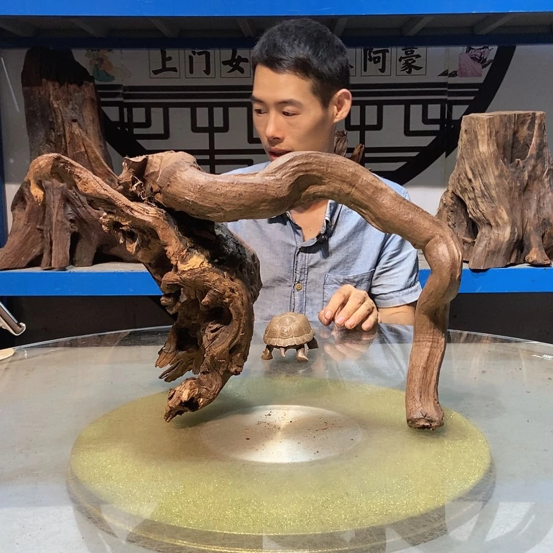 风车木（黑檀木）木