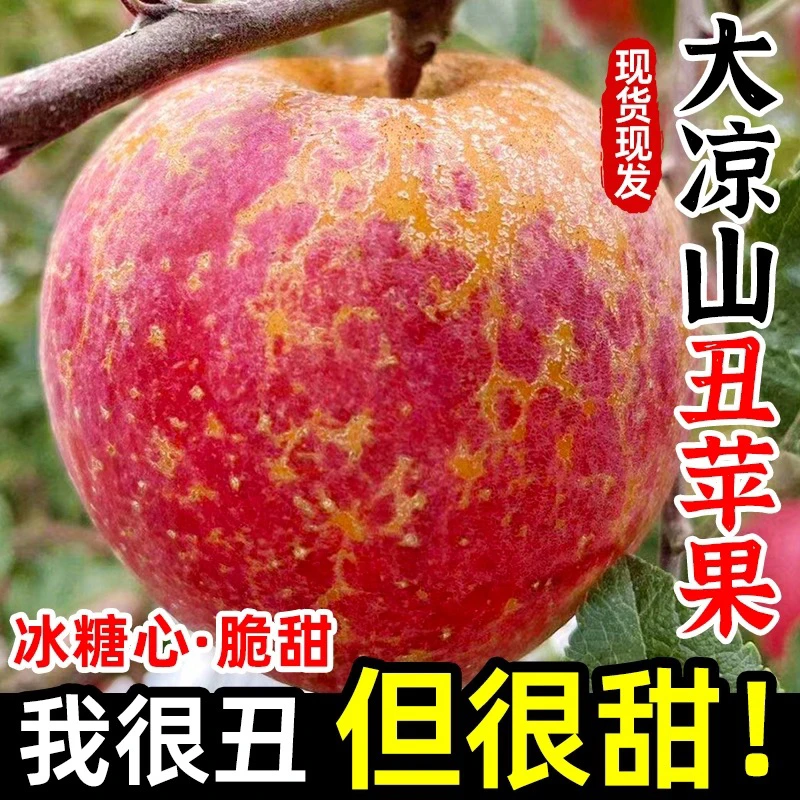 大凉山丑苹果(两斤)