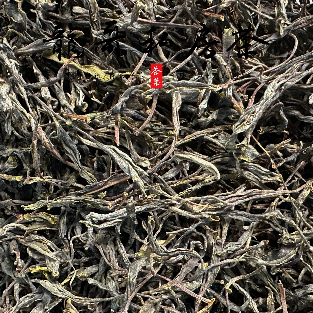 【龙哥强烈推荐！】2025年昔归单株 普洱茶生茶散茶