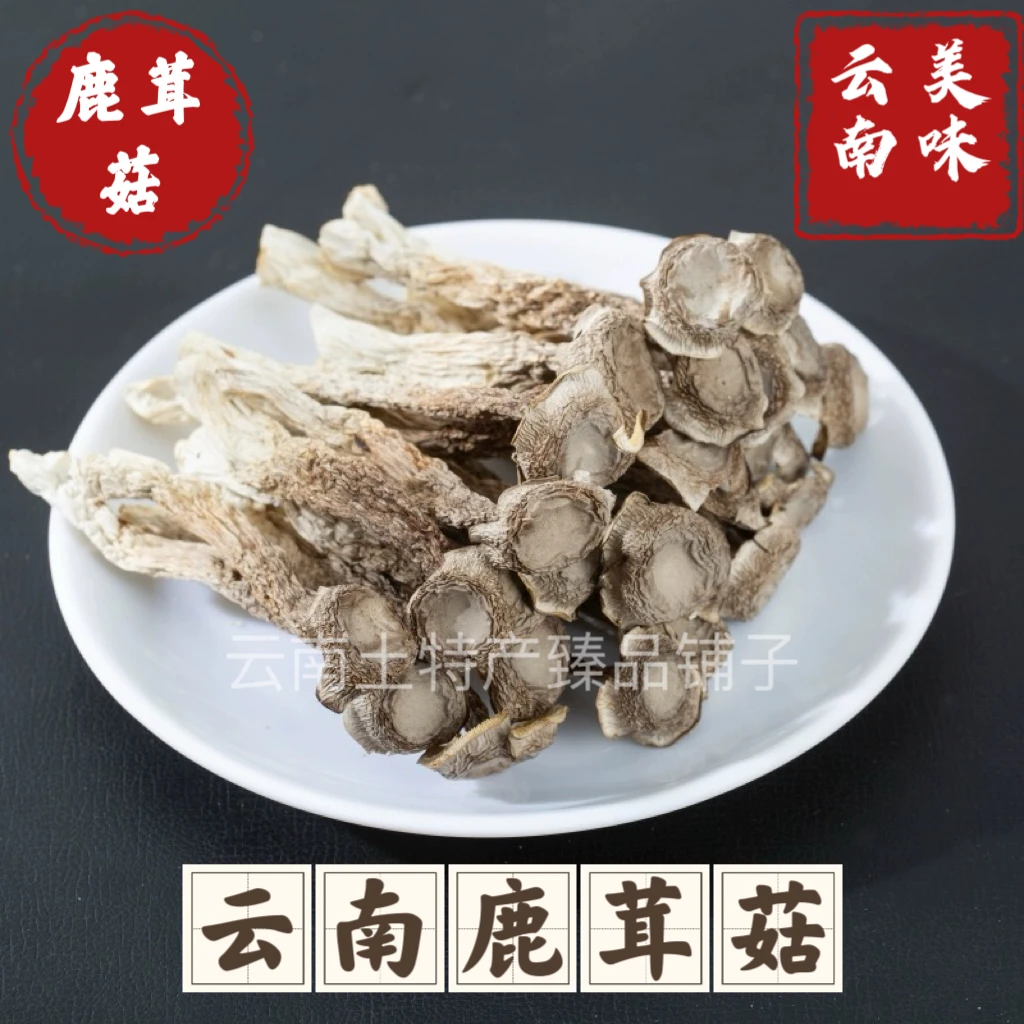 云南山货严选 鹿茸菇 脆脆菇云南美味菌菇炒菜煲汤必备