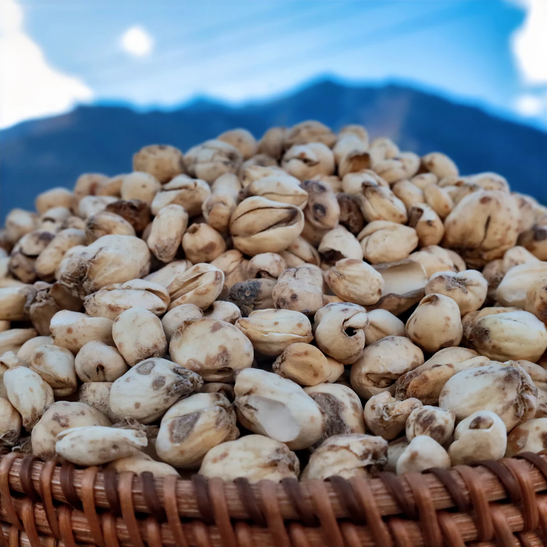 西藏本地发货贝母100g自然晾晒微黄带虎皮斑点无硫熏无漂白