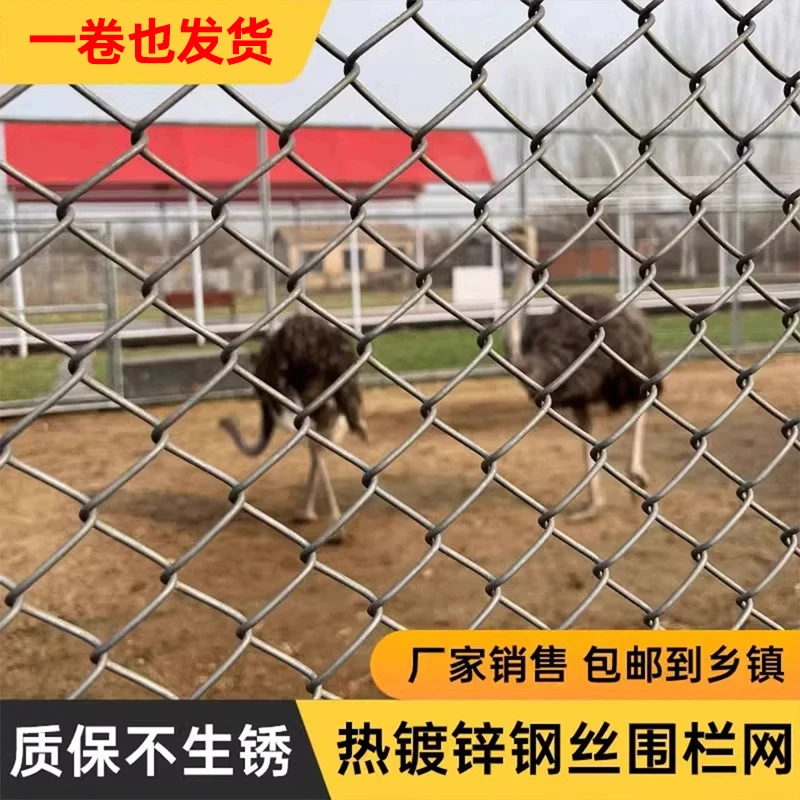 1.2米高镀锌钢丝网勾花铁丝网围栏网养殖护栏网养鸡圈菱形防护网