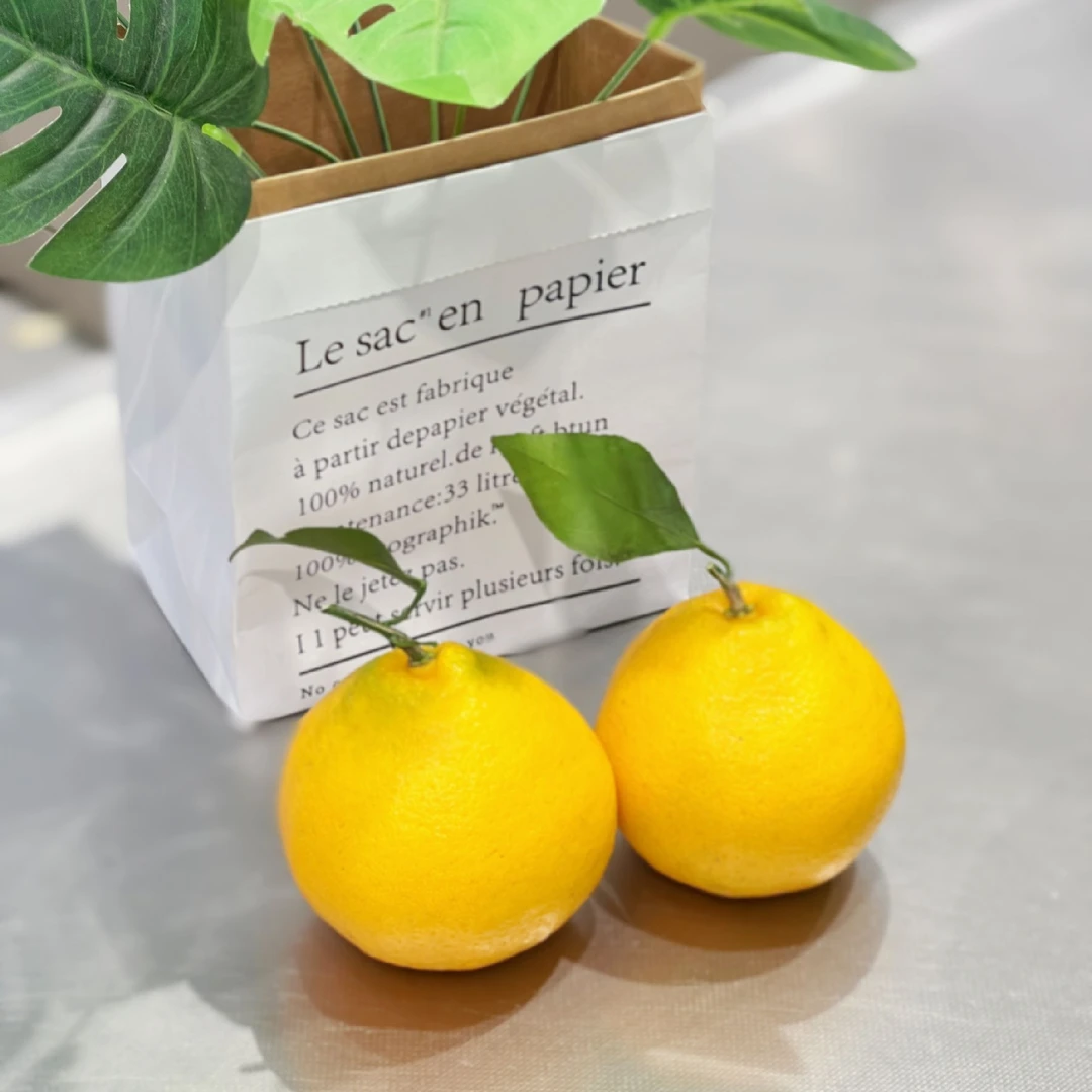 【果老板】春见耙耙柑2个（500克左右）