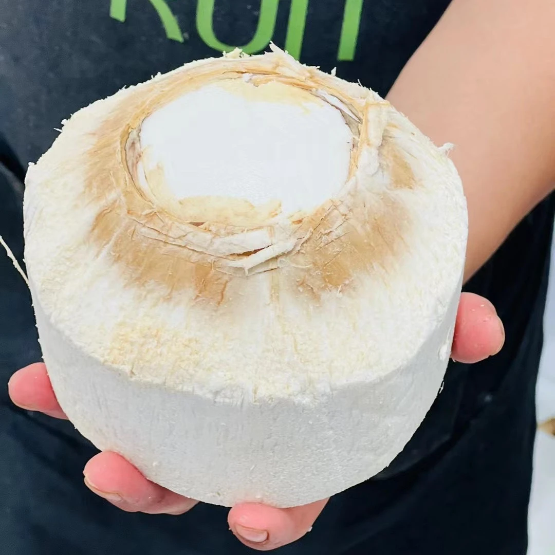 【果老板】泰国椰青1个（默认开好）1kg