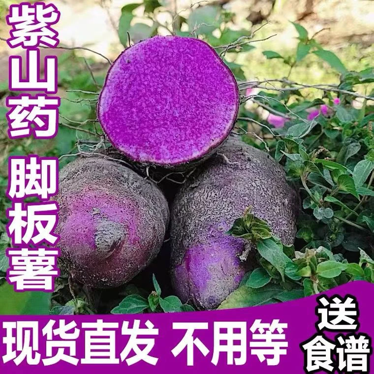 新鲜紫山药脚板薯紫色山药大薯毛薯铁棍山药紫玉淮山农家蔬菜批发