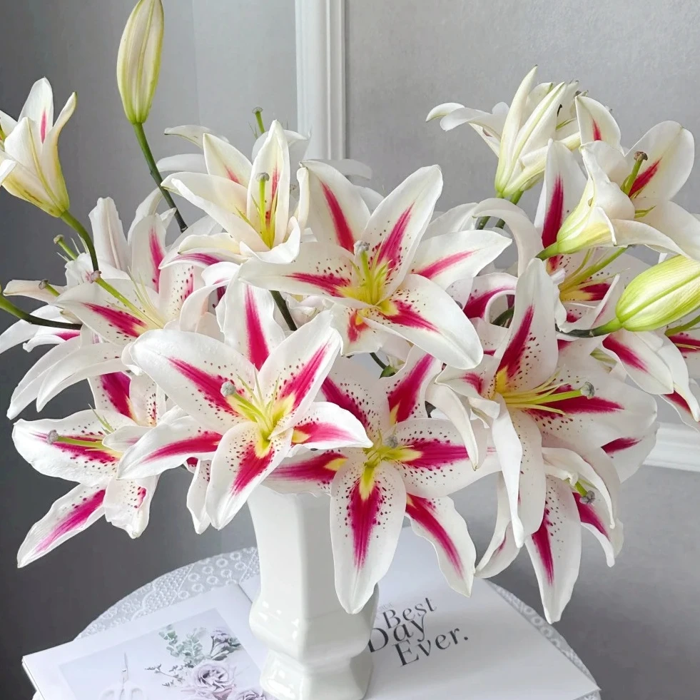 笑脸百合 全场拍三单花材每单送2包专用营养剂 任意两单顺丰包邮