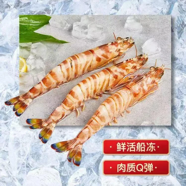北部湾北海海捕海鲜工厂直发现场称重