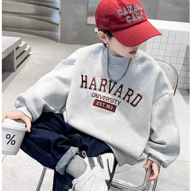 儿童洋气时尚套头加厚中大童印花圆领秋款男童秋季韩版
