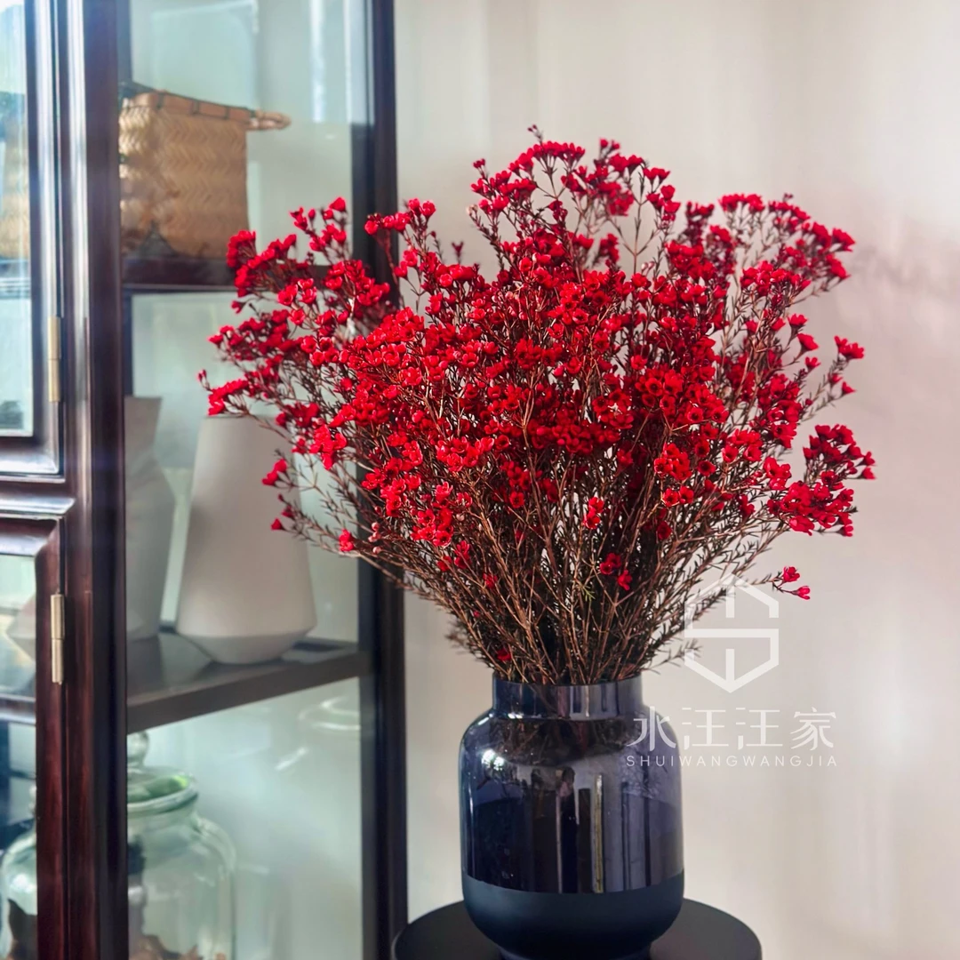 【A级澳洲腊梅】节日氛围鲜花年宵花秋冬易养护花期长2束下单有礼品