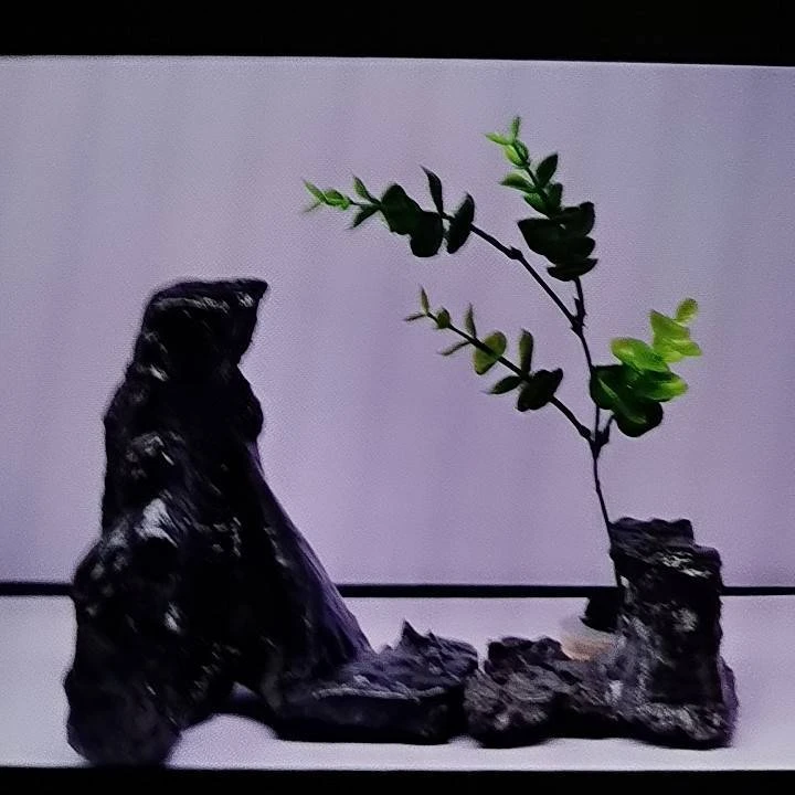 奇石美观摆件实用