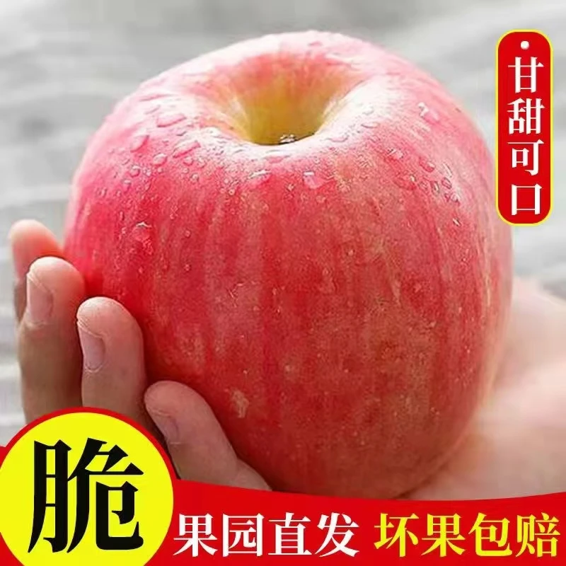 乡味说坏果包赔栖霞苹果山东烟台红富士苹果脆甜80-85中大果xs