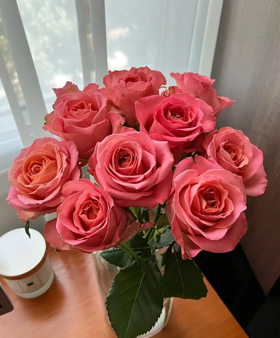 鲜花  单头玫瑰  香妃15支+5支不售后  两单包邮