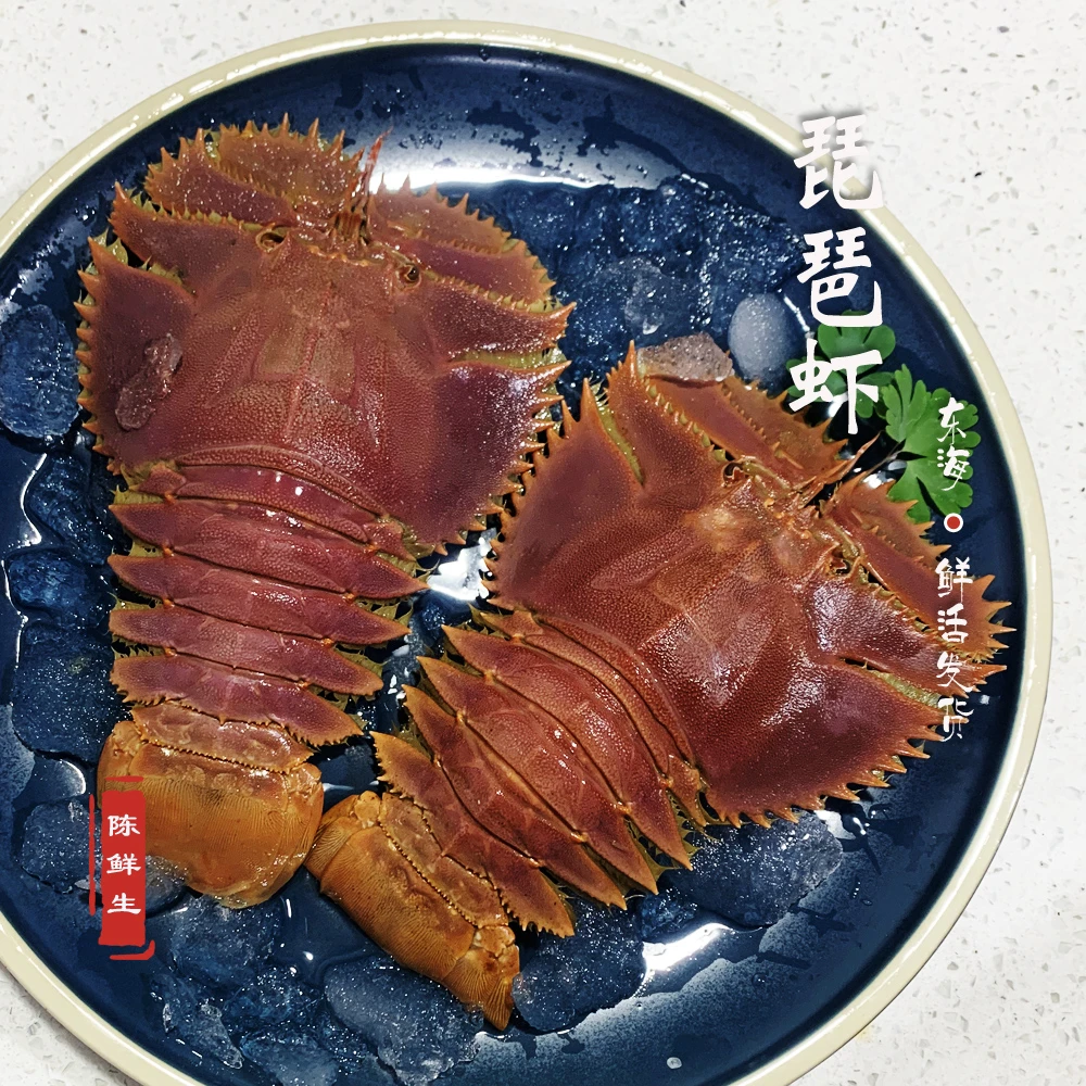 【东海琵琶虾】鲜活海捕九齿扇虾1斤约5只 鲜美Q弹肉质饱满2斤3斤