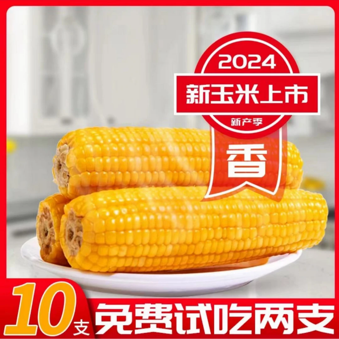 2024头茬 东北黄糯玉米10支280g起/整箱不低于6斤试吃两支