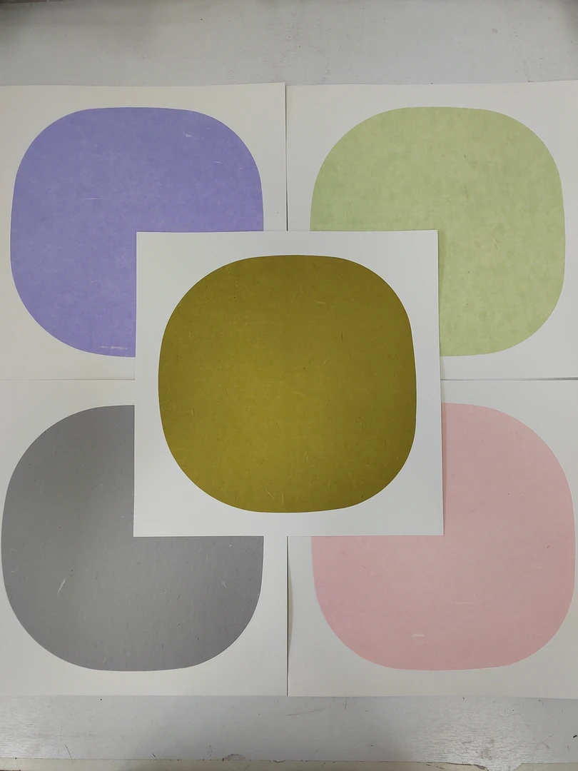 2432：定制33×33手工十色云龙皮纸卡纸10张（宋元）