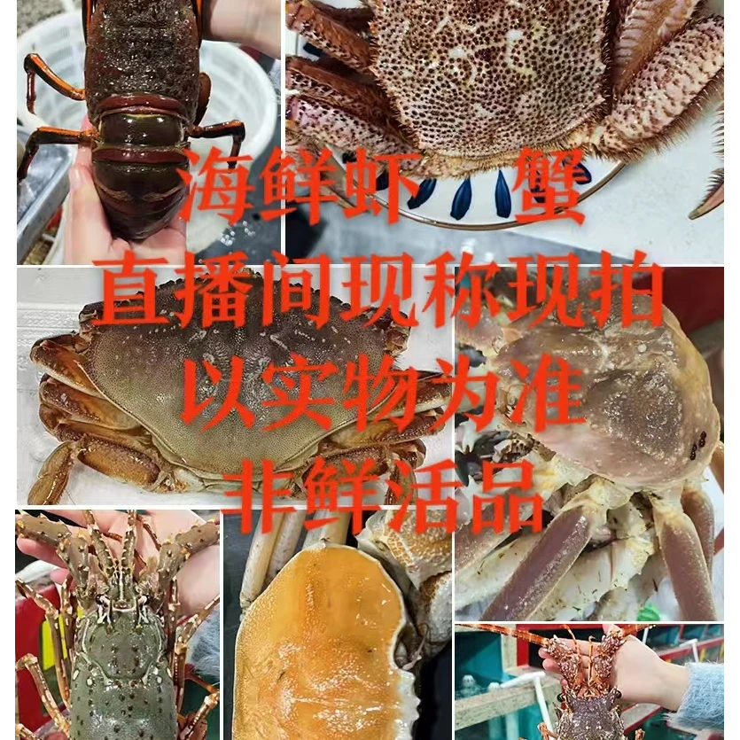 各种海鲜虾.蟹冰鲜压冰发货非鲜活品