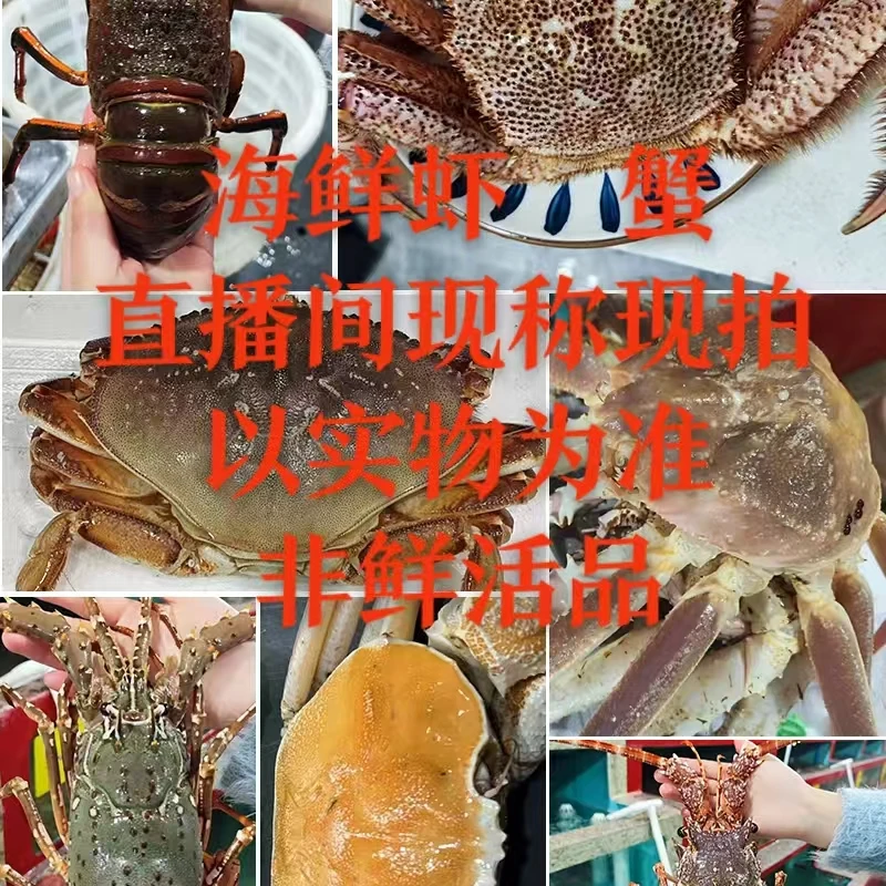 各种新鲜海鲜虾蟹压冰发货